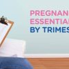 Pregnancy essentials | Pregnancy pillow | Body pillow | Centuary Mattress